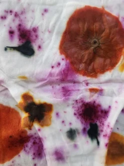 Azaleas: Lia Flower Power Organic Cotton Brief - Multi