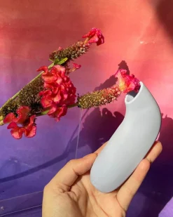 Dame: Aer Suction Toy