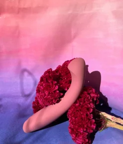 Dame: Arc G-Spot Vibrator - Plum