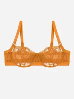 The Underargument: What Doesn't Break You... Demi Bra - 30F